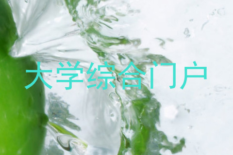 大学综合门户
