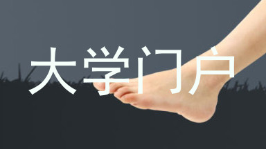 大学门户