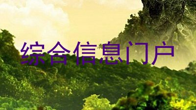 综合信息门户