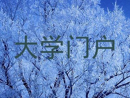大学门户