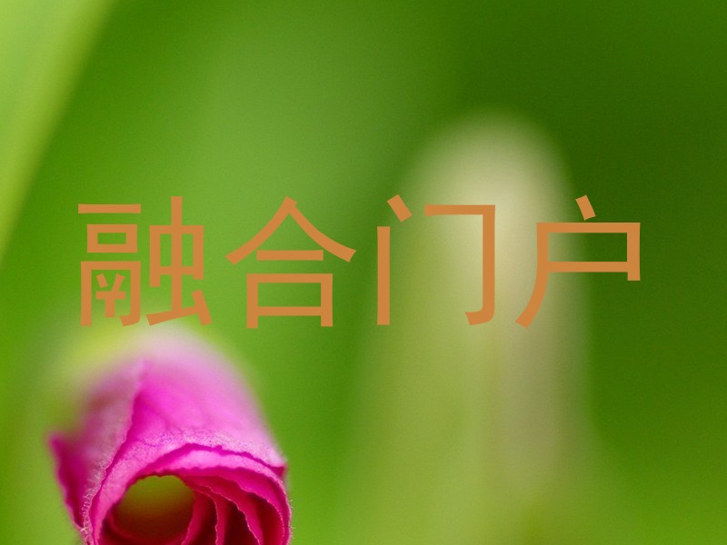 融合门户