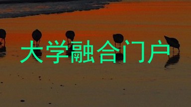 大学融合门户