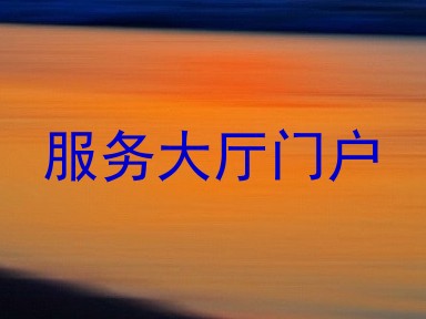 服务大厅门户