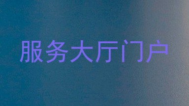 服务大厅门户