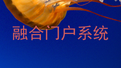 融合门户系统