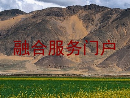 融合服务门户