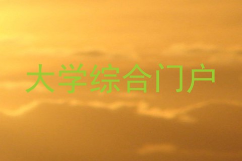 大学综合门户
