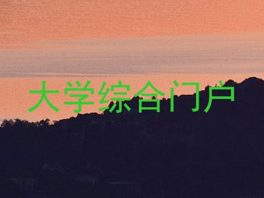 大学综合门户