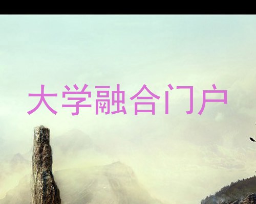 大学融合门户