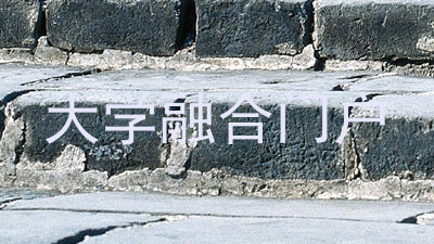 大学融合门户