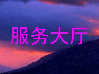 服务大厅
