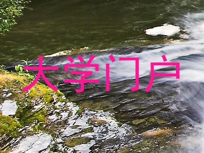 大学门户