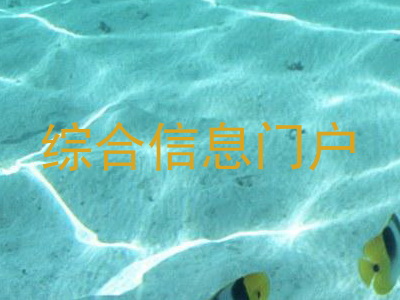 综合信息门户