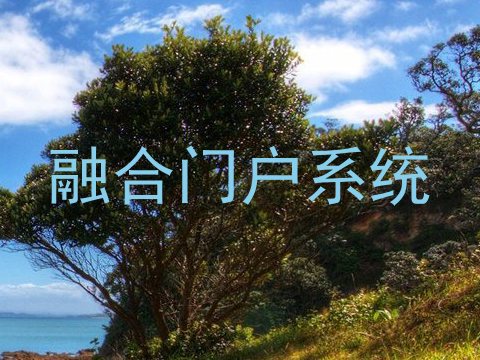 融合门户系统