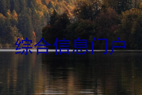 综合信息门户