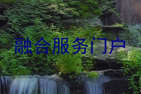 融合服务门户