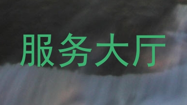服务大厅