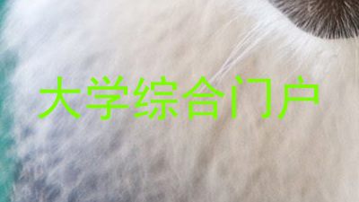 大学综合门户