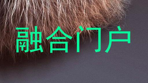 融合门户