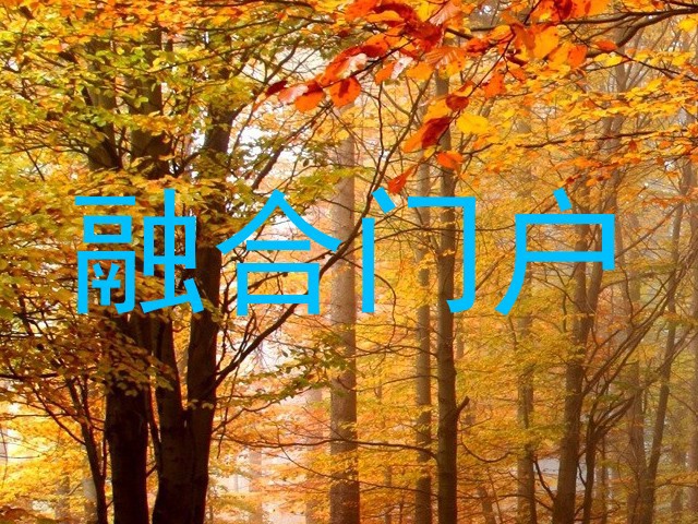 融合门户