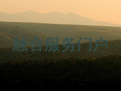 融合服务门户