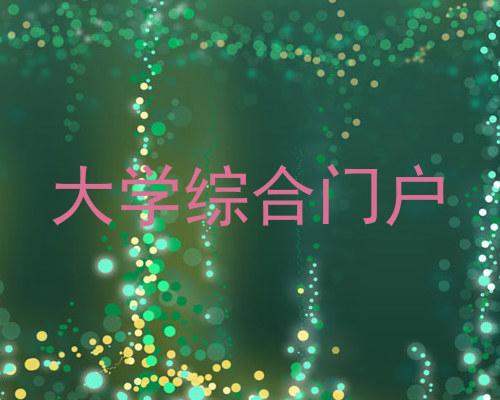 大学综合门户