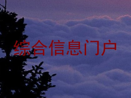 综合信息门户
