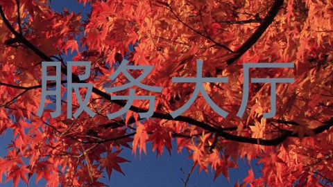 服务大厅