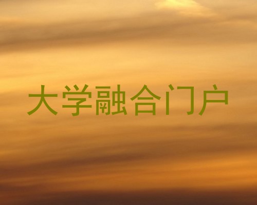 大学融合门户