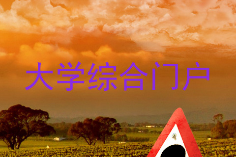 大学综合门户