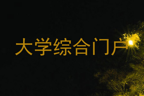 大学综合门户