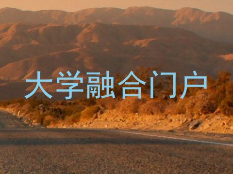 大学融合门户