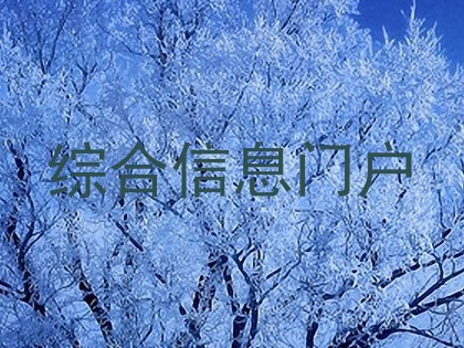 综合信息门户