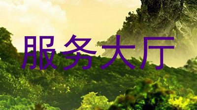 服务大厅
