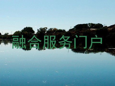融合服务门户