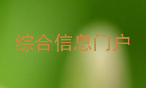 综合信息门户