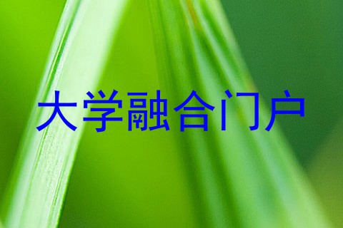 大学融合门户