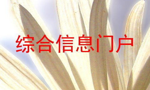 综合信息门户