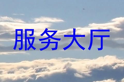 服务大厅