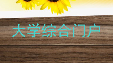 大学综合门户