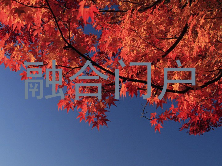 融合门户