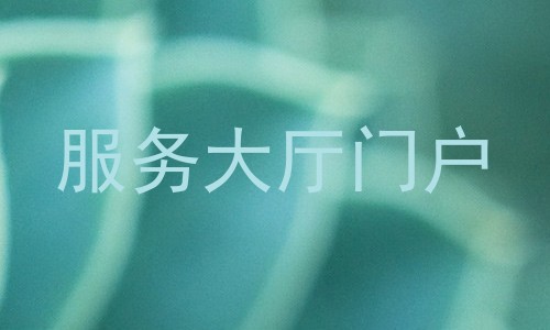 服务大厅门户