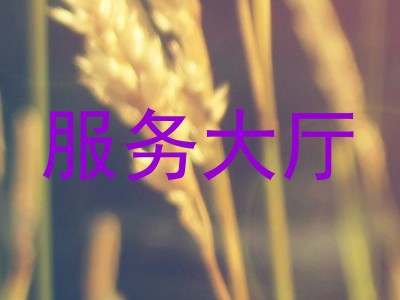 服务大厅
