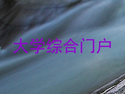 大学综合门户