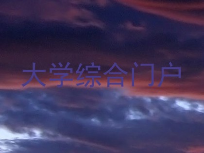 大学综合门户