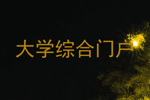 大学综合门户