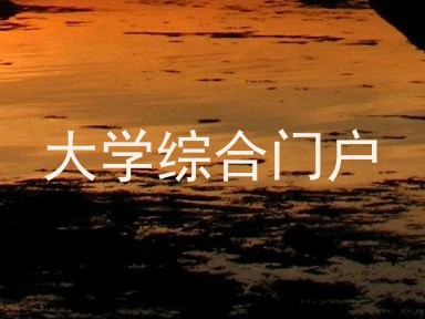 大学综合门户