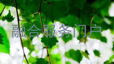 融合服务门户