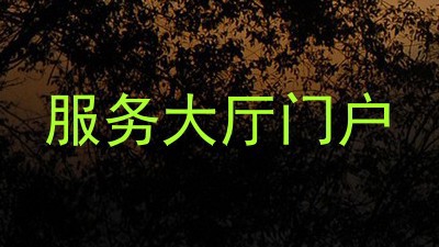 服务大厅门户