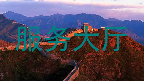 服务大厅